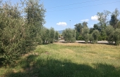 Rif:234, Terreno edificabile